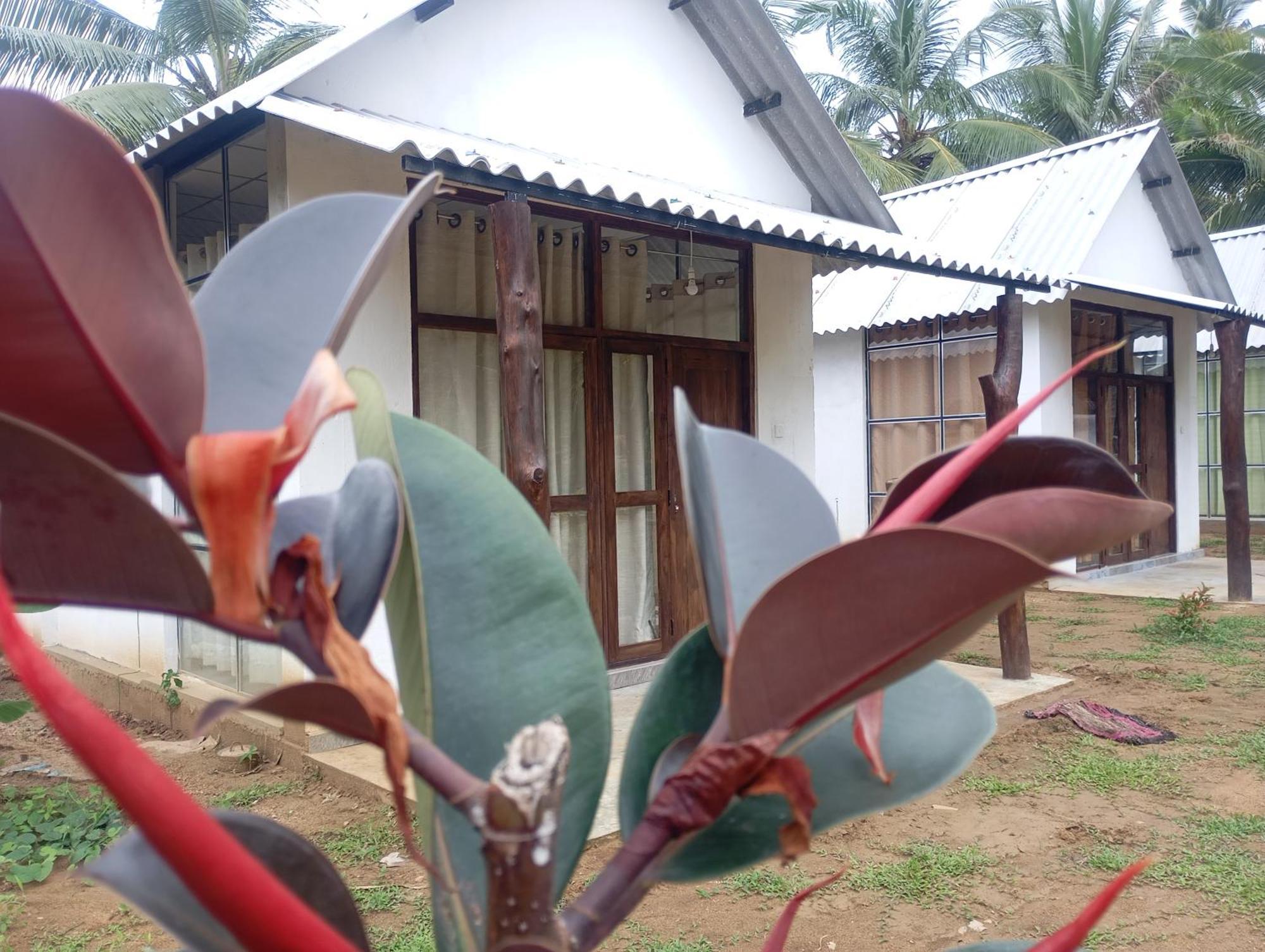 Paramount Safari Cottage Udawalawe Dış mekan fotoğraf